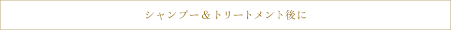 シャンプー＆トリートメント後に