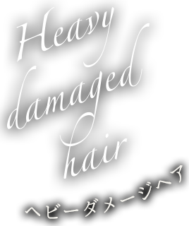 Heavy damaged hair