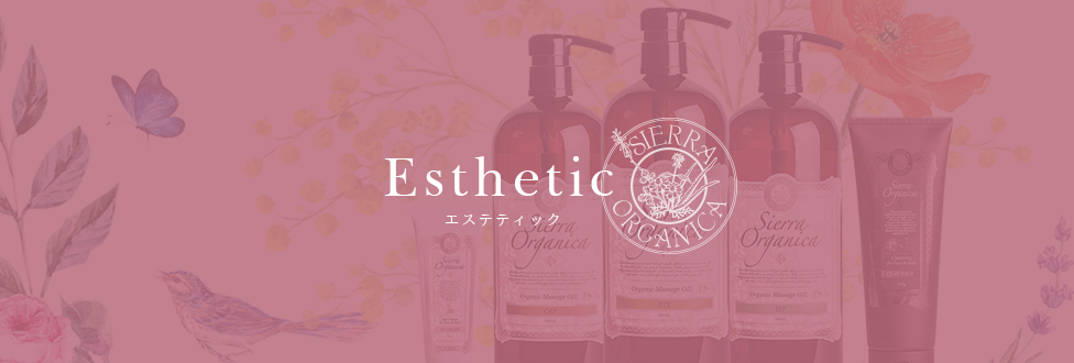 Esthetic エステティック